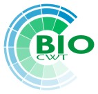 �io-CWT