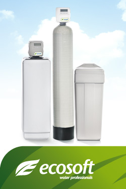 Գ���� Ecosoft FK � ���̲��