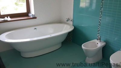 Сантехника &mdash; Пегас