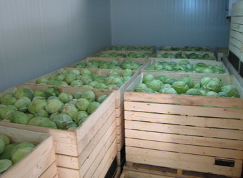 Холодильное оборудование для фруктов и овощей