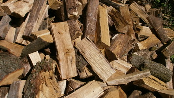 Дрова. Заготовка, продажа, доставка дров в Киев и по области.