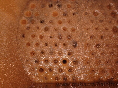 Реагентами ЛВХ 4.2 отмыт кожухотрубный теплообменник