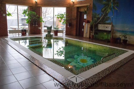 Бассейн мозаичный переливной