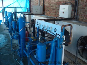 фото2 &mdash; COLD