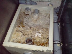 Жироуловитель &mdash; Редька