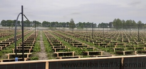 Туман орошение любых площадей, огромный опыт, реальные объекты &mdash; ОПТ АГРО