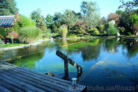 Плавательный экопруд OASE