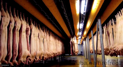 Текстильні повітроводи в харчовому виробництві &mdash; Рефреол