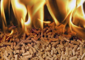 Куплю топливные древесные гранулы диаметром 6-8 мм.