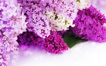 Поздравляем Вас с майскими праздниками