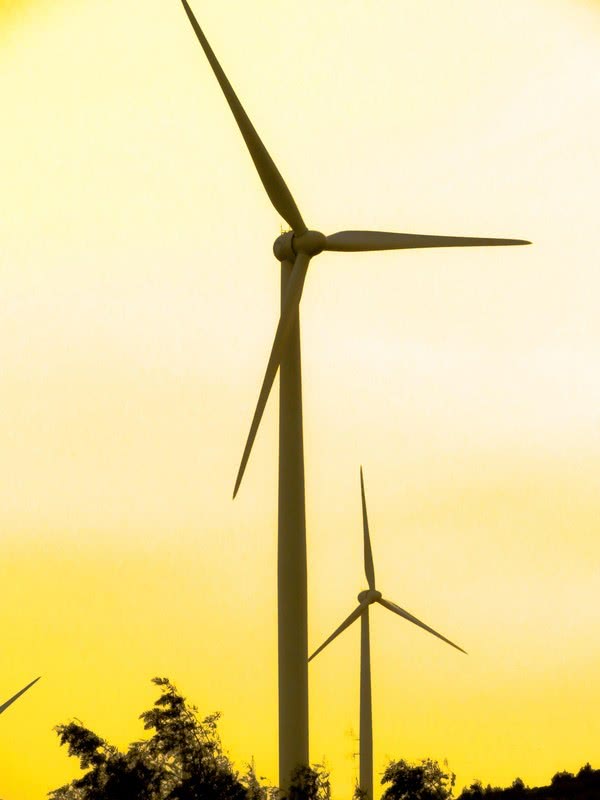 За 2014 год украинские ветроэлектростанции в два раза увеличили выработку электроэнергии