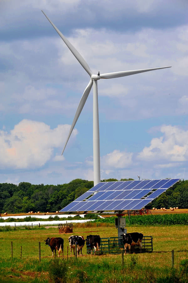Ветровые частные электростанции приравняли в «правах» к солнечным