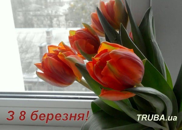 TRUBA.ua вітає чарівних дам з 8 березня!