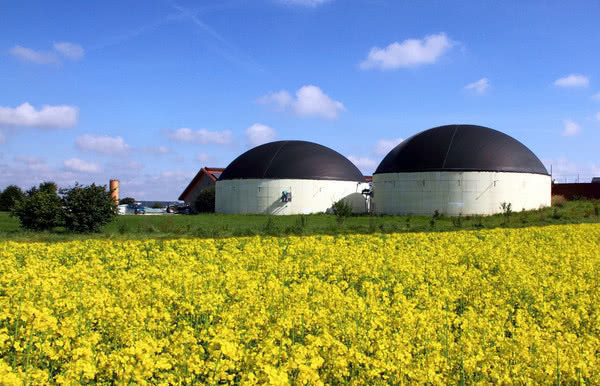 В Украине начал работу биогазовый комплекс, который может стать крупнейшим в Европе