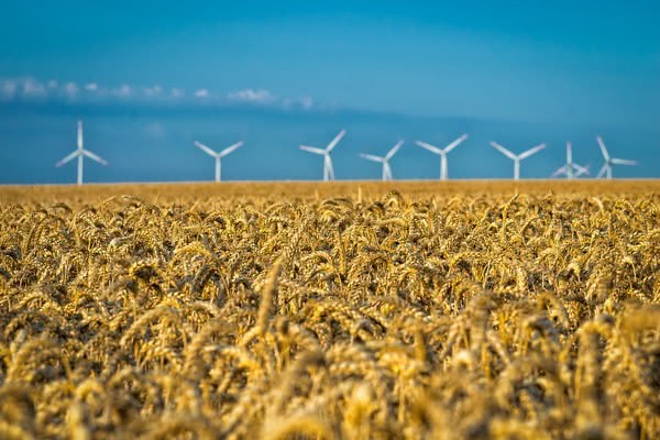 OPIC утвердили выделение средств на строительство ветропарка общей мощностью 500 МВт