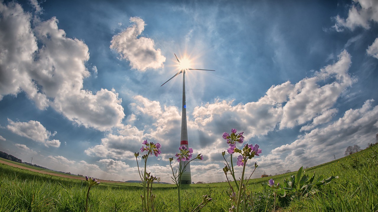 В Украине станет проще строить ветровые электростанции