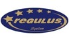Логотип компании REGULUS-system Украина