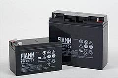 Fiamm FG 21803