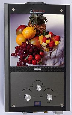 Amina ВПГУ-18 frukts 10L Lcd