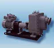 Насос НС 16-50 и агрегат электронасосный АНС 16-50 на его основе. Насос НС 16-50 и агрегат электронасосный АНС 16-50 на его основе.