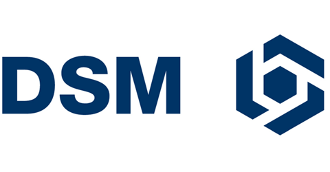 DSM продає Yparex компанії Resin