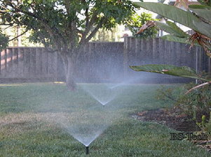 Авто полив &mdash; BS-Tech