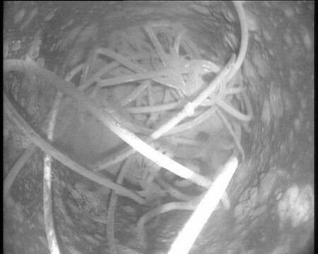 Качественное бурение.