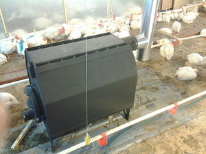 КН-200 в птичнике &mdash; Войников