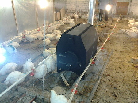 КН-200 в птичнике