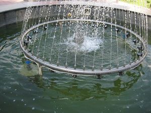 Кольцо фонтана &mdash; Тимошевич