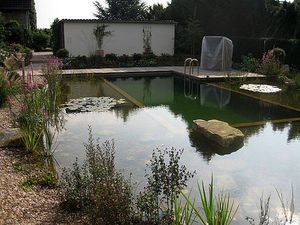 Искусственные водоемы, плавательные пруды, озера — УкрСад Маркет ТМ Искусственные водоемы, плавательные пруды, озера — УкрСад Маркет ТМ