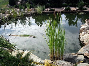 Искусственные водоемы, плавательные пруды, озера — УкрСад Маркет ТМ Искусственные водоемы, плавательные пруды, озера — УкрСад Маркет ТМ