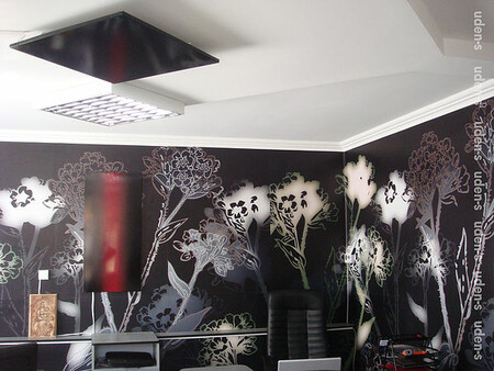 потолочные панели