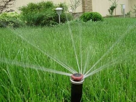 автоматический полив