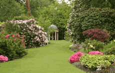 Газон &mdash; Аквадекор