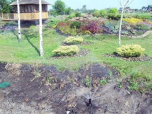 Полив_2 &mdash; Соловьев