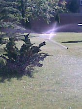 Полив_1 &mdash; Соловьев