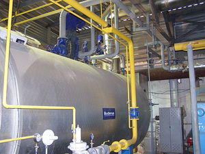 Паровой котел Buderus. — Энергополис. Киевский филиал. Паровой котел Buderus. — Энергополис. Киевский филиал.