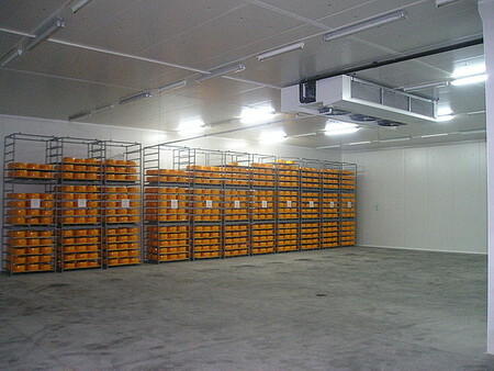 Холодильные камеры