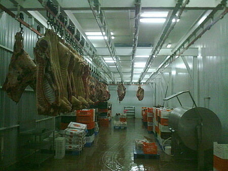 Камера охлаждения свиных полутуш