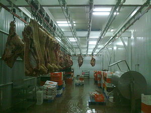 Камера охлаждения свиных полутуш &mdash; Фриос