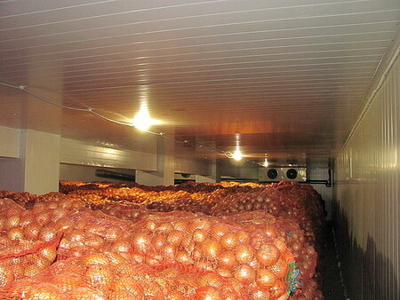 Камера хранения лука