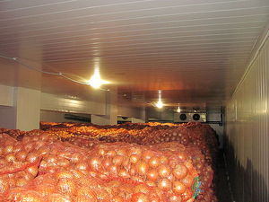 Камера хранения лука &mdash; Фриос