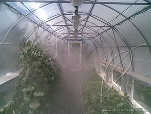 Тепличное хозяйство — Green design Тепличное хозяйство — Green design