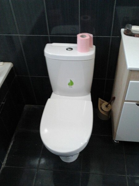 Установленный унитаз