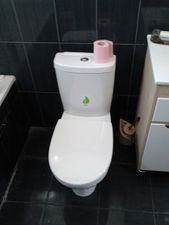 Установленный унитаз &mdash; АкваСфера