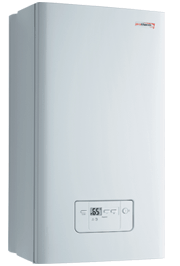 Газовый котел Protherm Гепард 23 MOV