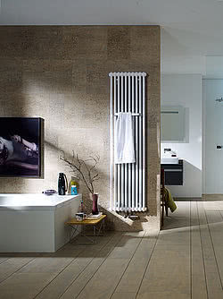 Радиатор отопления Zehnder Charleston Радиатор отопления Zehnder Charleston