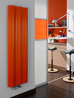 Радиатор отопления Zehnder Dualis