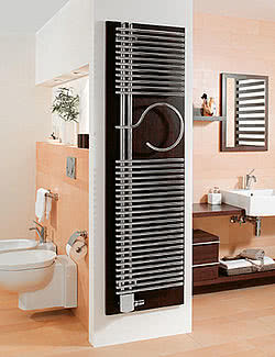 Полотенцесушитель Zehnder Cinus Полотенцесушитель Zehnder Cinus